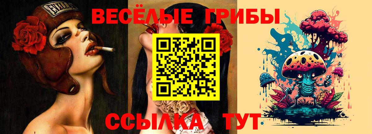 Псилоцибиновые грибы прущие грибы Касимов