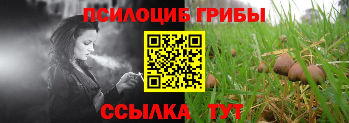 Галлюциногенные грибы Psilocybe  Вход с VPN  Галлюциногенные грибы GOLDEN TEACHER  Касимов 